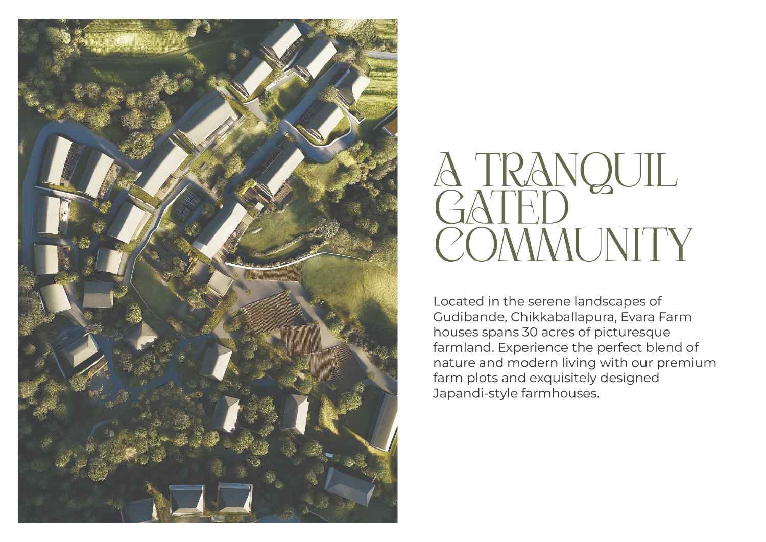 Case Study Image